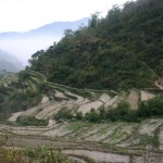 img_76931 img_76931