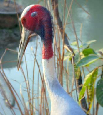 img_8244 img_8244