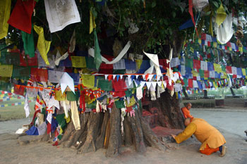 img_8252 img_8252