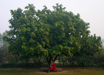 img_8266 img_8266